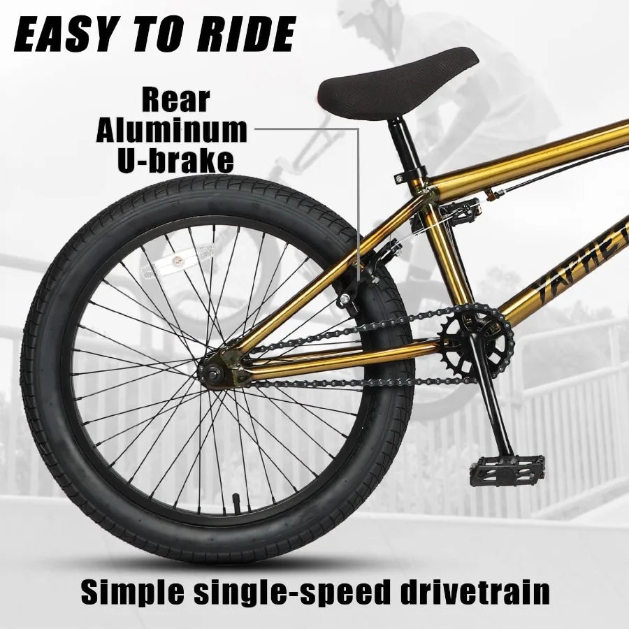 20” Freestyle BMX Beginner Bike