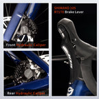 SAVA Pro Carbon Road Bike