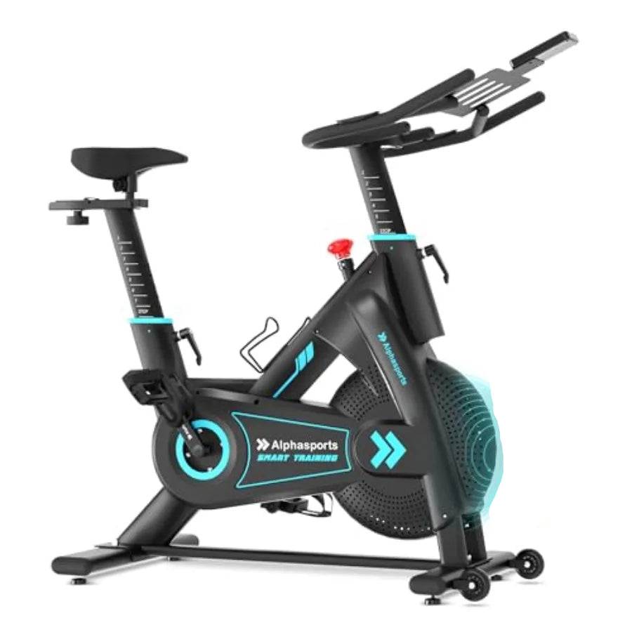 LCD Monitor Exercise Bike