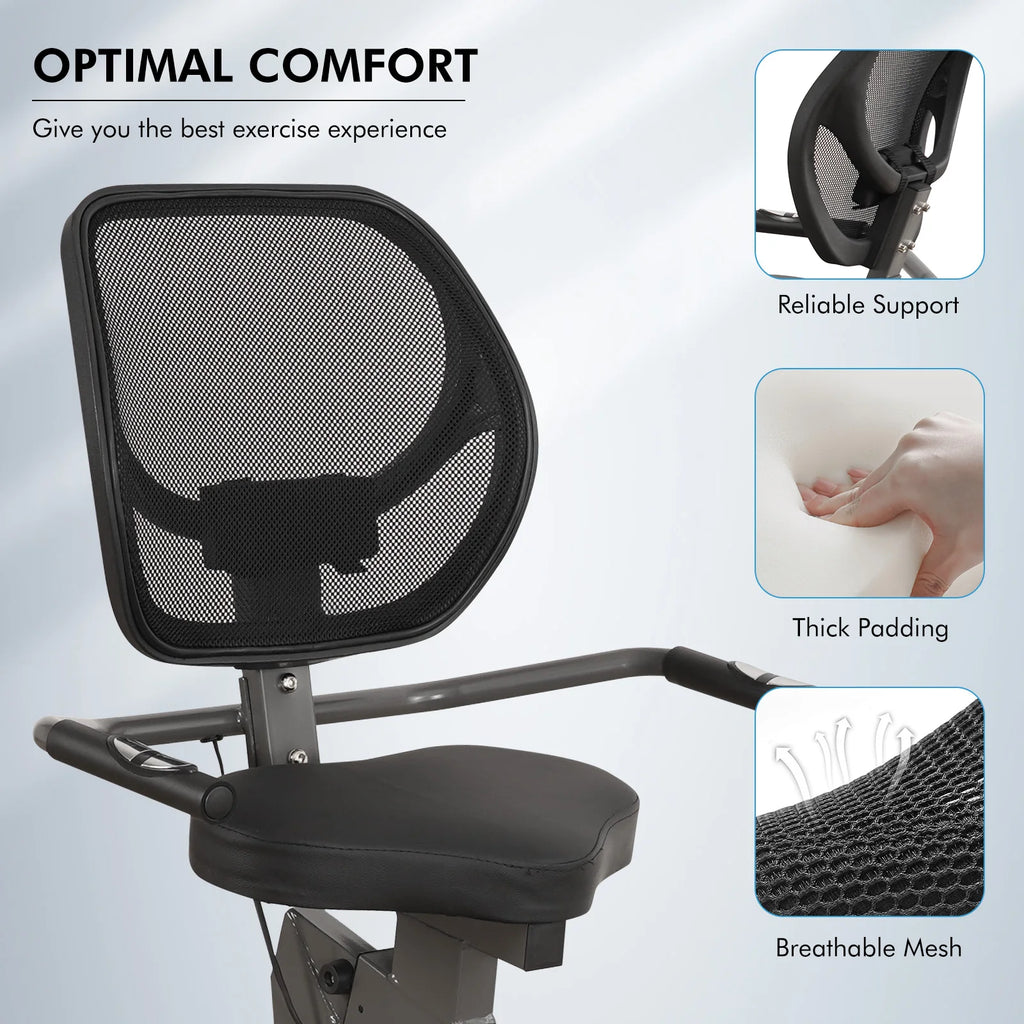 Recumbent Exercise Bike