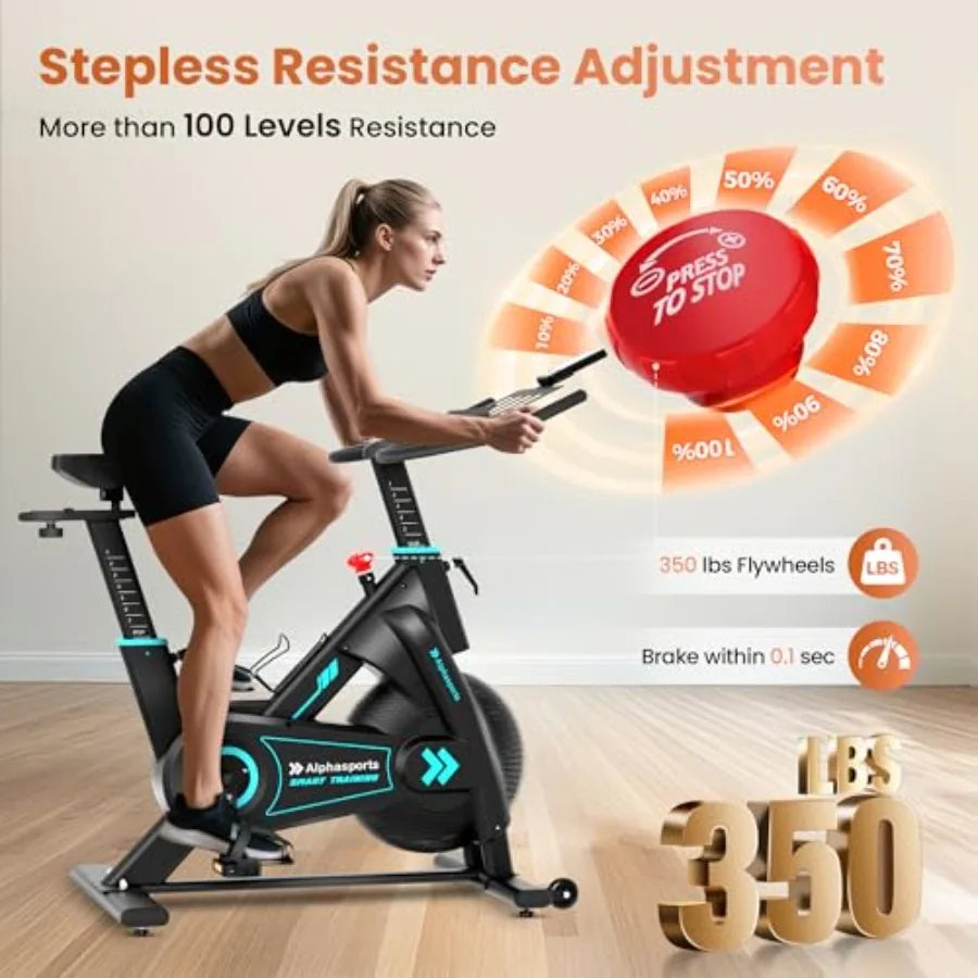 LCD Monitor Exercise Bike