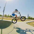 20” Freestyle BMX Beginner Bike