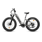 RATTAN Sequoia Fat Tire E-Bike