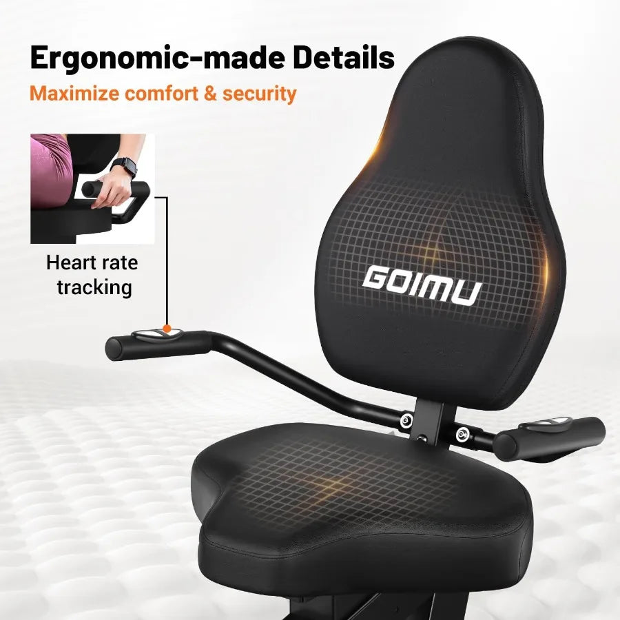 8-Level Magnetic Recumbent Bike