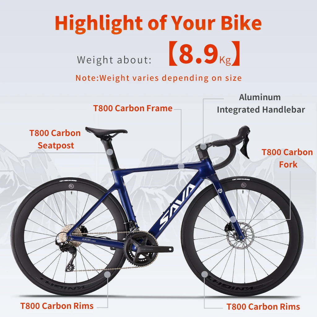 SAVA Pro Carbon Road Bike