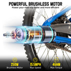 JOYSTAR Kids Electric Bike