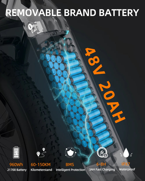 1000W All-Terrain Electric Bike