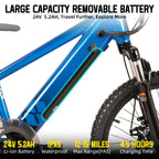 JOYSTAR Kids Electric Bike