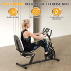 Bluetooth Home Recumbent Bike
