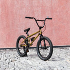 20” Freestyle BMX Beginner Bike