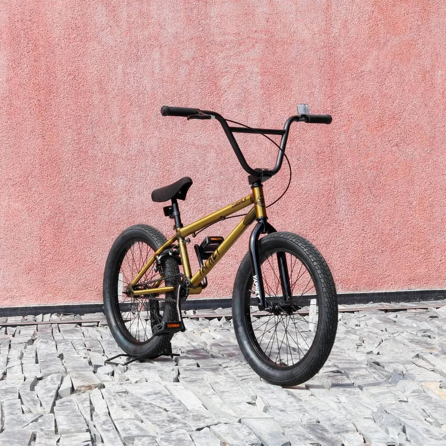 20” Freestyle BMX Beginner Bike