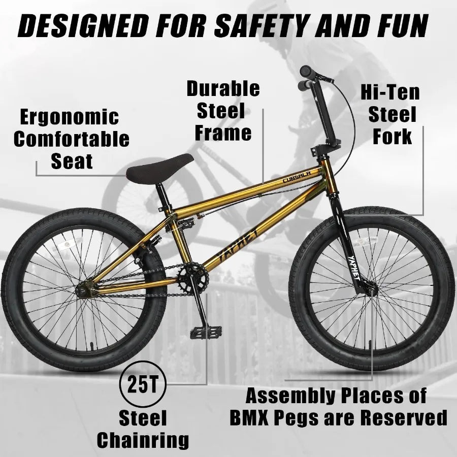 20” Freestyle BMX Beginner Bike