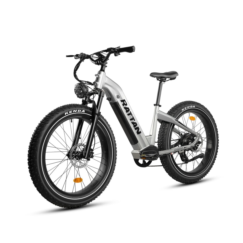 RATTAN Sequoia Fat Tire E-Bike