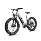 RATTAN Sequoia Fat Tire E-Bike
